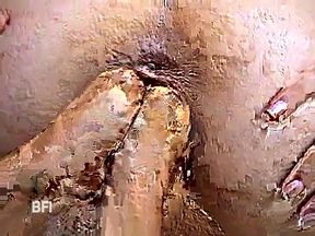 plataforma de 10 reais tigre - Interracian lesbians