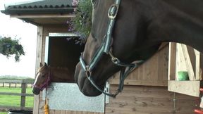 British BBW pornstar gets rammed by her old partner