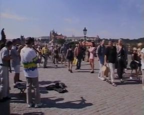 Blonde Beauties in European Interracial Sex Compilation